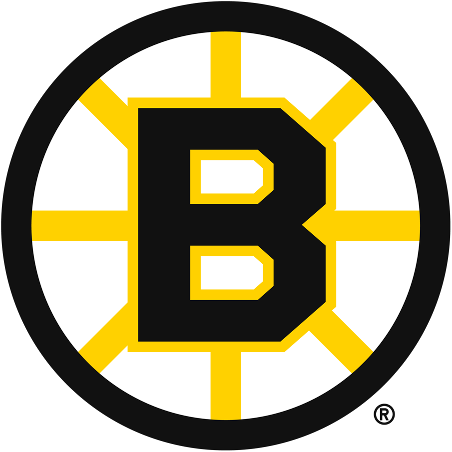 Boston Bruins 1949-1995 Primary Logo iron on transfers for clothing